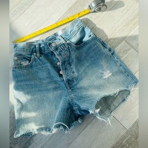 Everlane Artist’s Seen on Broadway NYC Blue Organic Cotton Short Mom’s Shorts